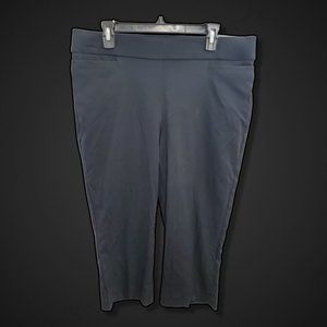 Briggs Comfort Waistband Slacks Womens Size 14